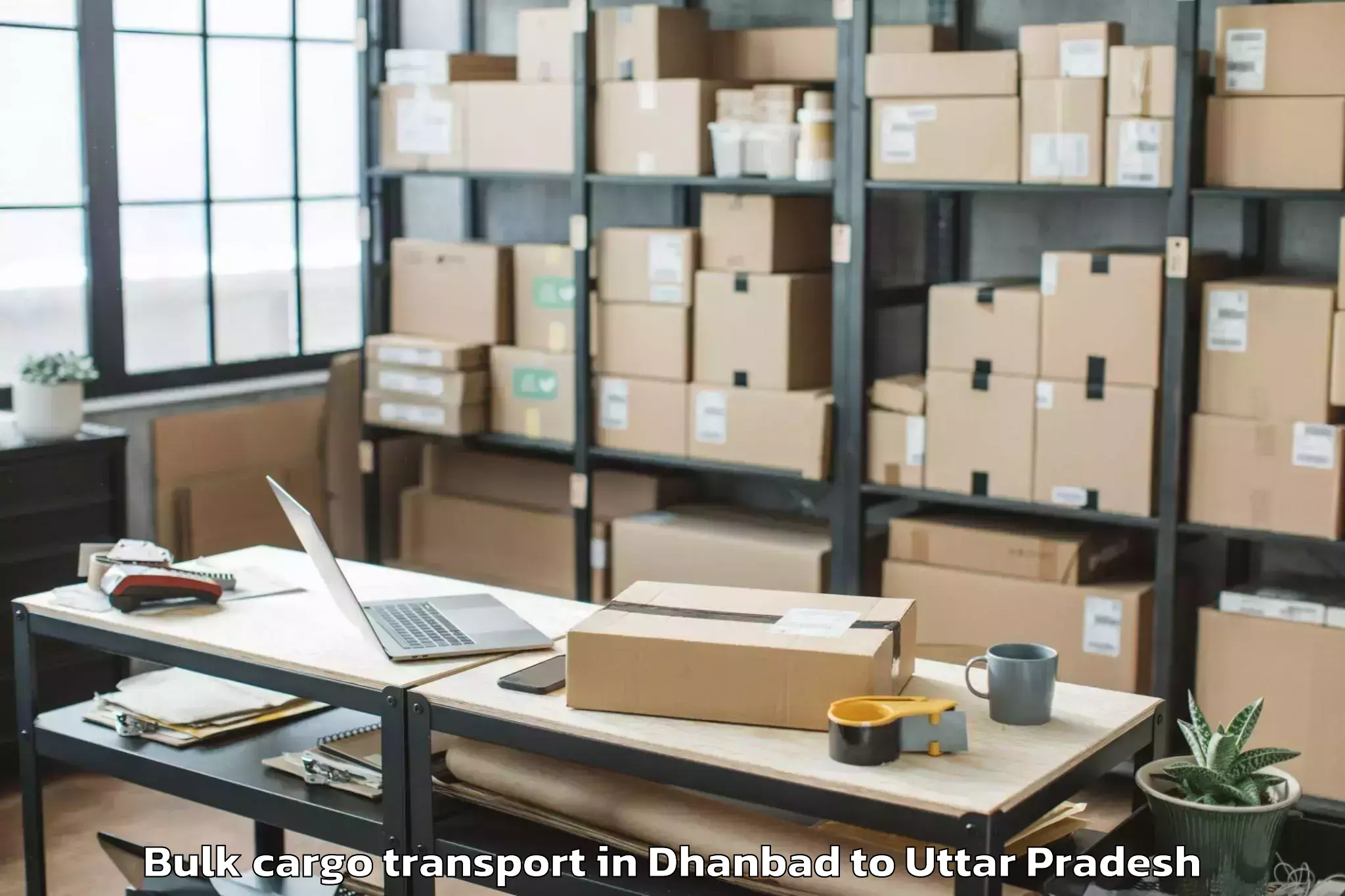 Quality Dhanbad to Manjhanpur Bulk Cargo Transport